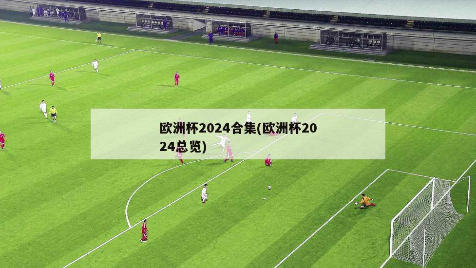 欧洲杯2024合集(欧洲杯2024总览)